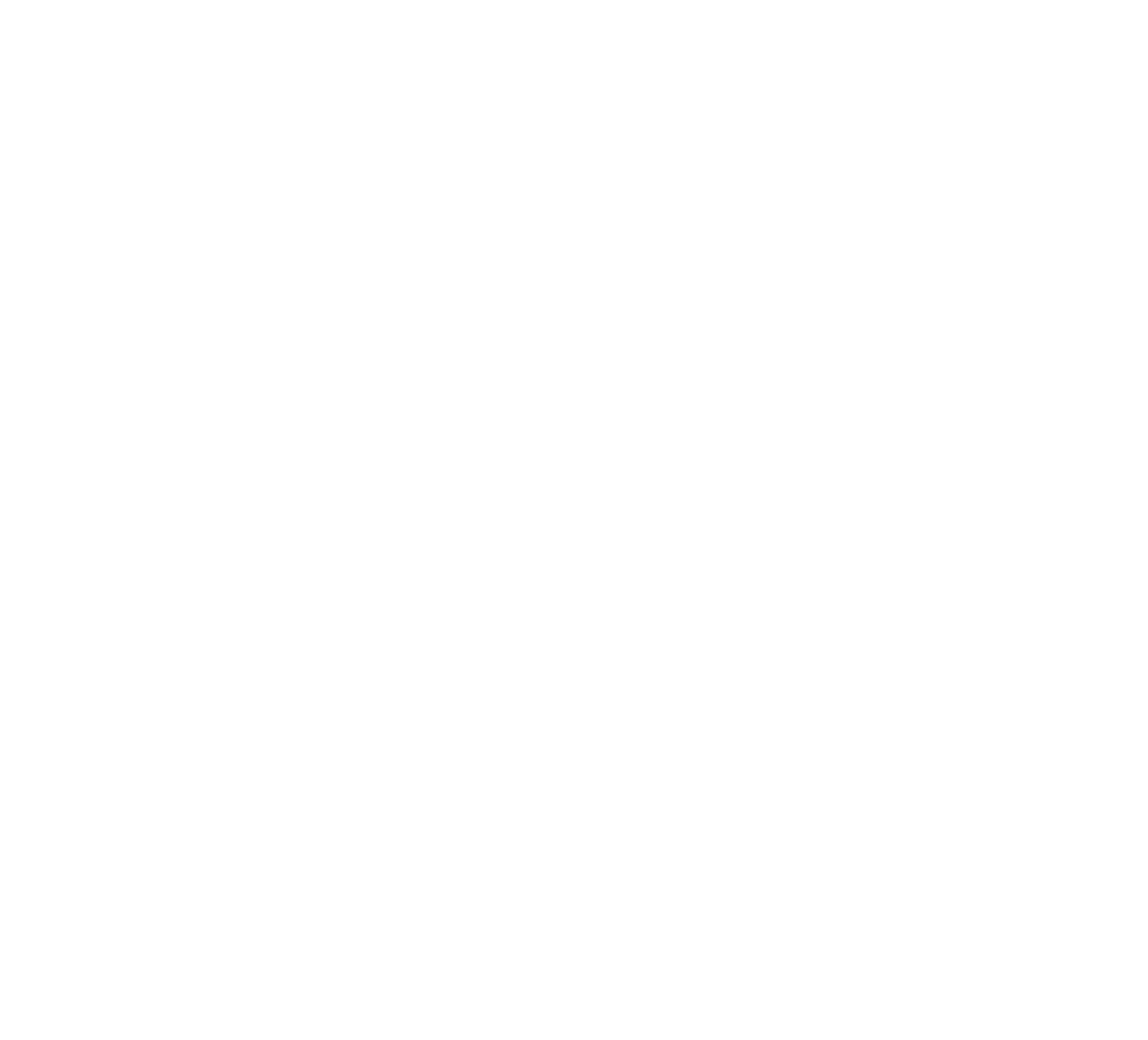 Software Gestionale Firenze